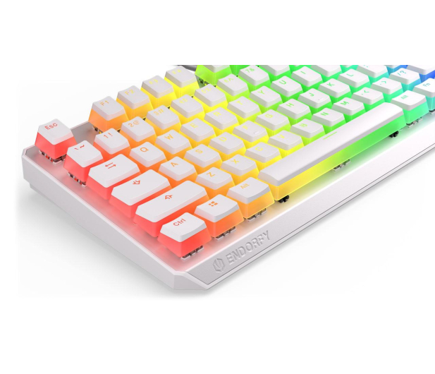 ENDORFY Thock TKL Onyx White Kailh Blue RGB - 1077313 - zdjęcie 7